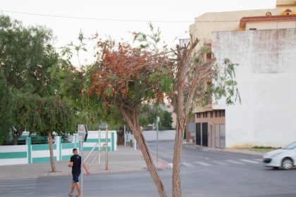 شارع الجولان بتطوان